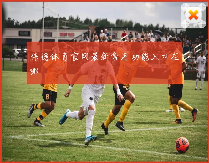 伟德体育官网最新常用功能入口在哪